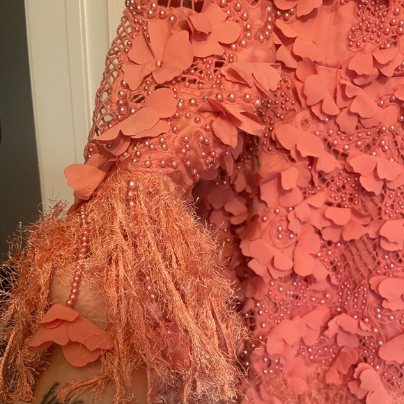 ASOS LUXE 3D floral embellished eyelet mini dress with faux feather trim - Picture 12 of 13